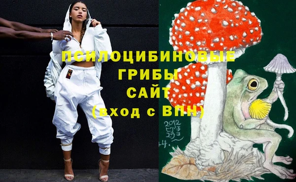 гидра Армянск