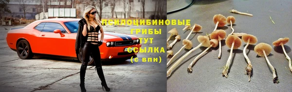 кокаин колумбия Аркадак